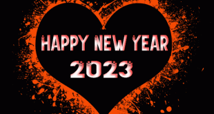 animation 2023 new year gif image