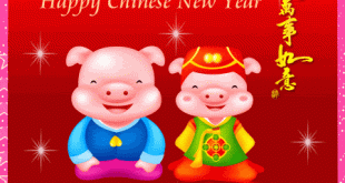 chinese new year animation gif