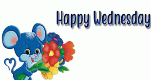 happy wednesday wishes gif image