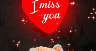 new i miss you gif
