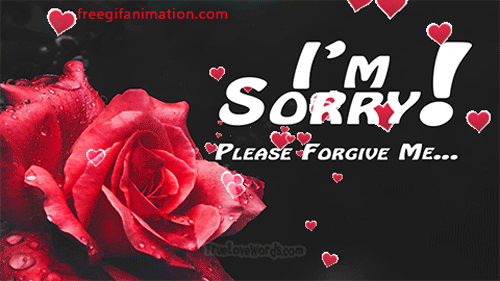 sorry day gif